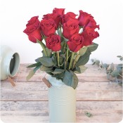Rosas Rojas Especial S.Valentin