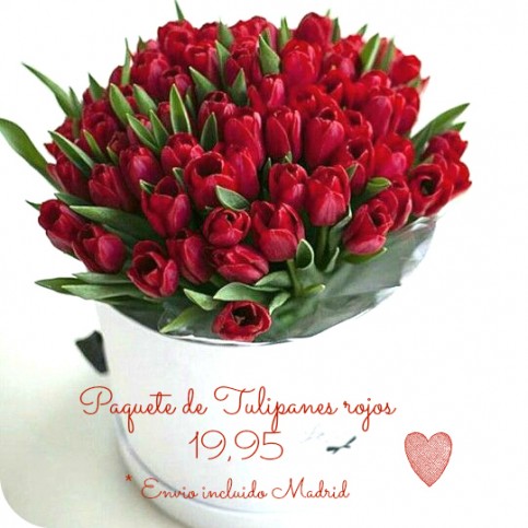 Paquete de Tulipanes Holandeses Rojos