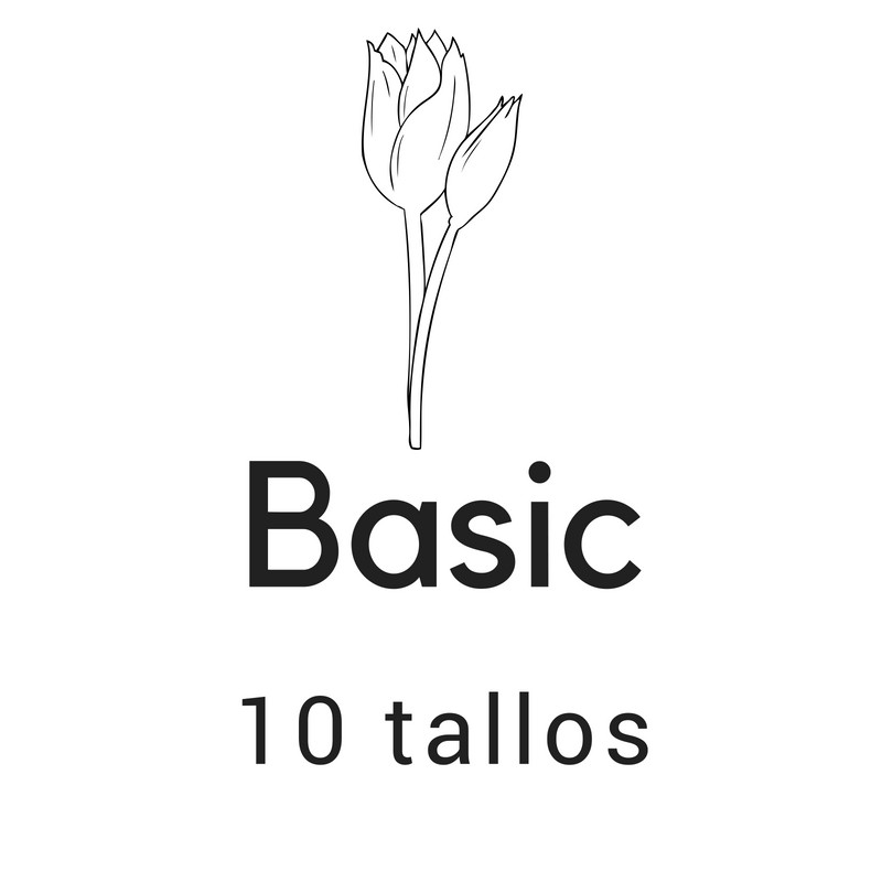 Basic 10 tallos