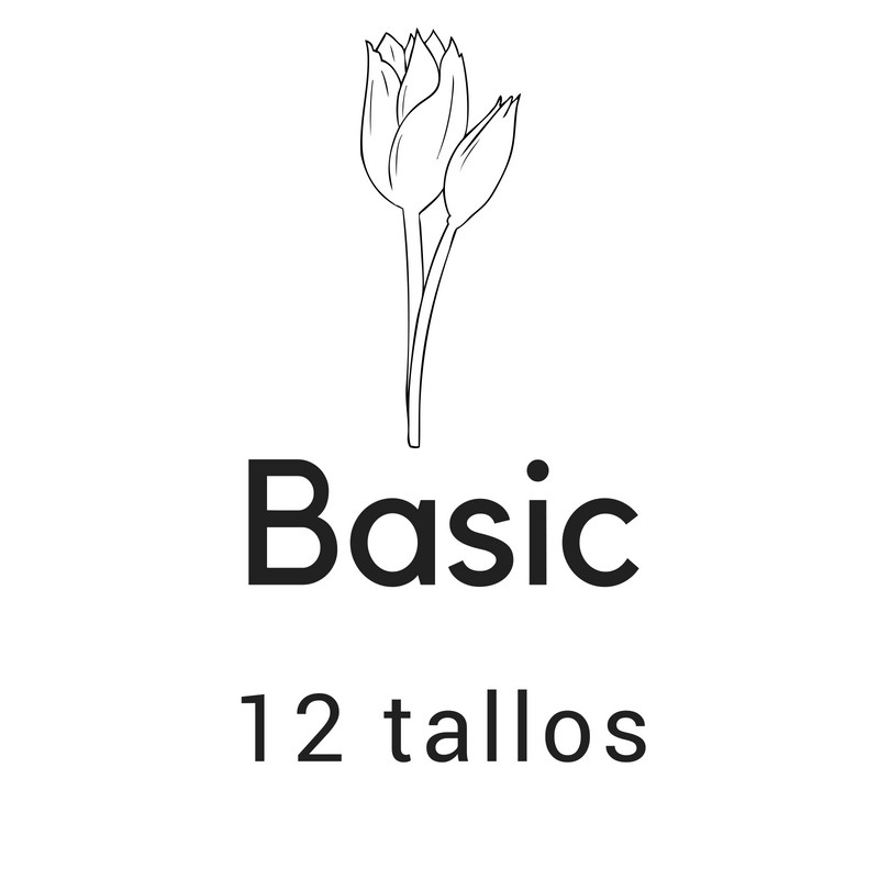 Basic 12 tallos