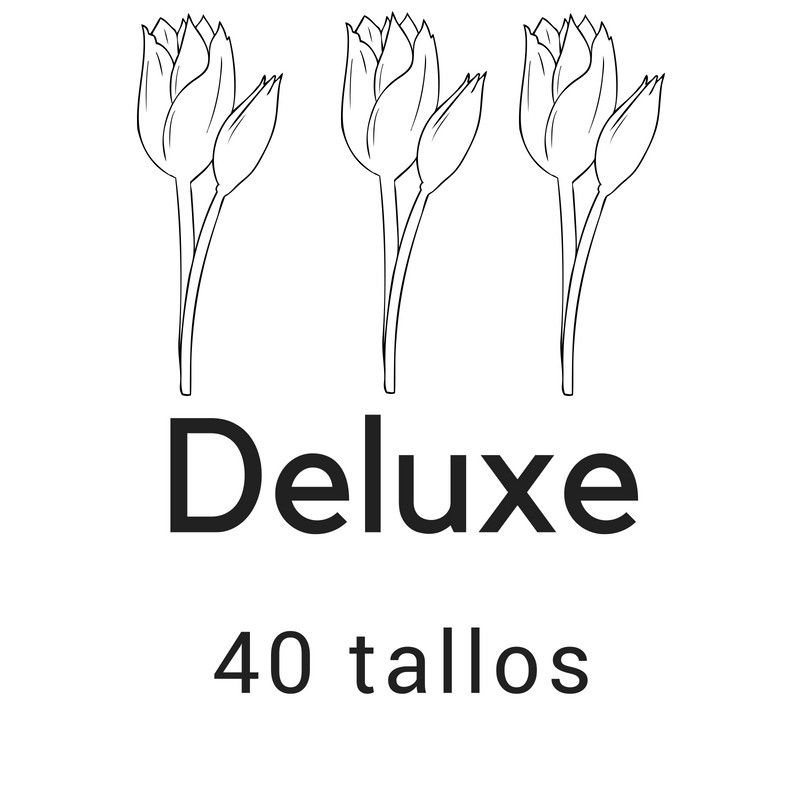 Deluxe 40 tallos